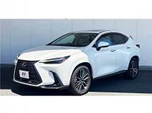 2025 Lexus NX