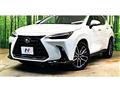 2025 Lexus NX
