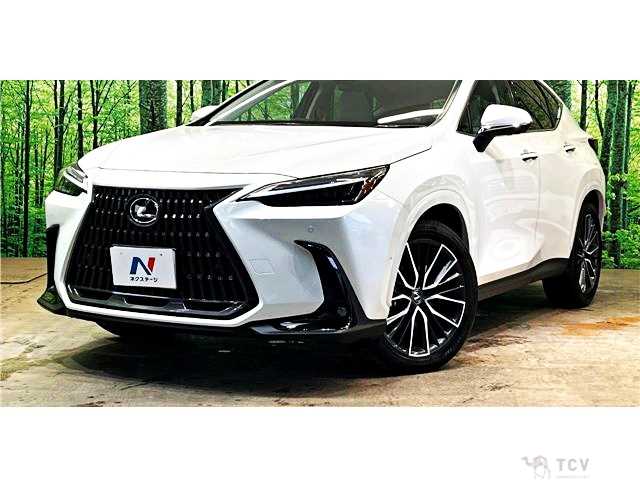 2025 Lexus NX