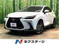 2025 Lexus NX