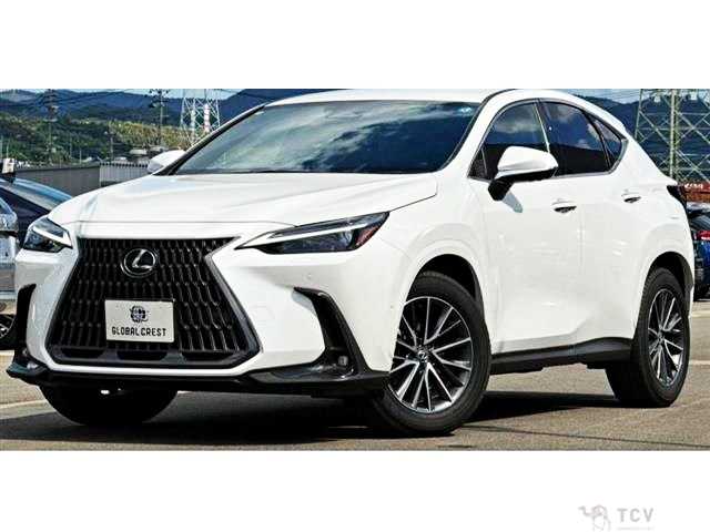 2025 Lexus NX