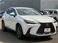 2025 Lexus NX