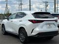 2025 Lexus NX