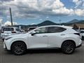 2025 Lexus NX