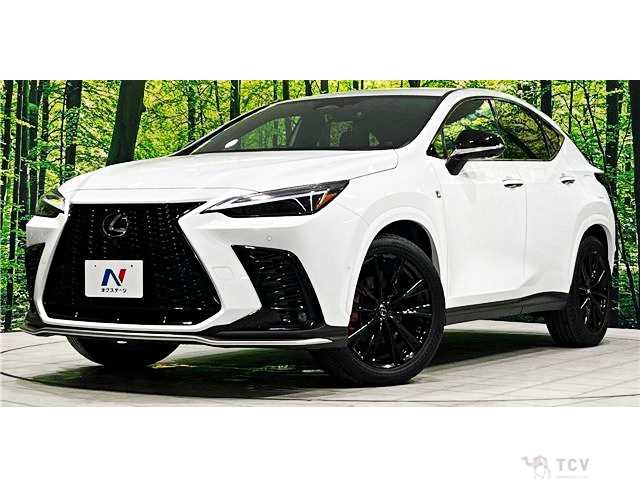 2025 Lexus NX