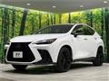 2025 Lexus NX