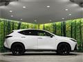 2025 Lexus NX