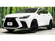 2025 Lexus NX