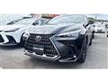 2025 Lexus NX