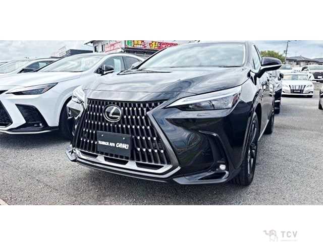 2025 Lexus NX