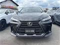 2025 Lexus NX