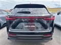 2025 Lexus NX