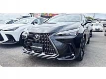 2025 Lexus NX