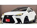 2025 Lexus NX