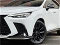 2025 Lexus NX
