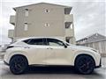 2025 Lexus NX