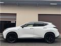 2025 Lexus NX