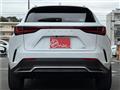 2025 Lexus NX
