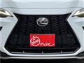 2025 Lexus NX