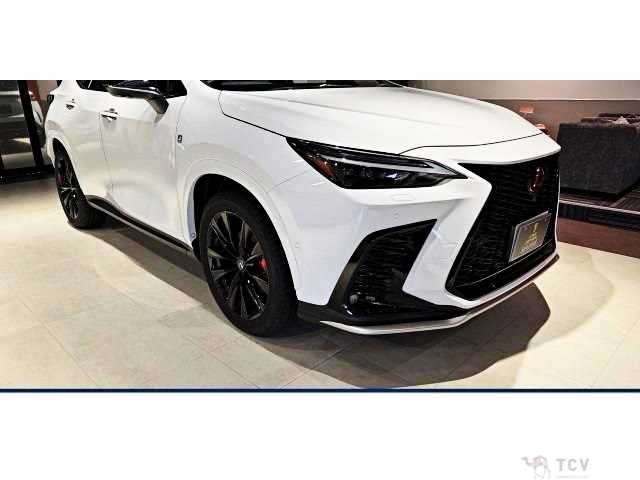 2025 Lexus NX