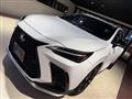 2025 Lexus NX