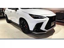 2025 Lexus NX
