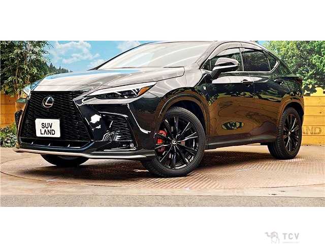 2025 Lexus NX