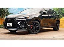 2025 Lexus NX