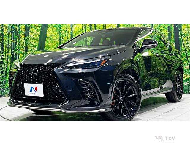 2025 Lexus NX