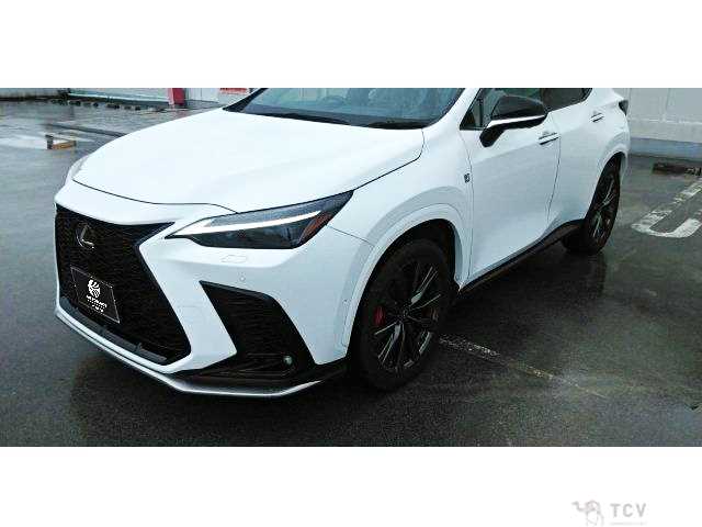 2025 Lexus NX