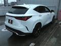2025 Lexus NX