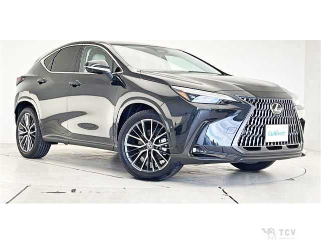 2025 Lexus NX