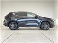2025 Lexus NX