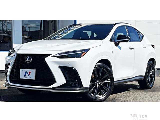 2025 Lexus NX