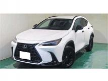 2025 Lexus NX