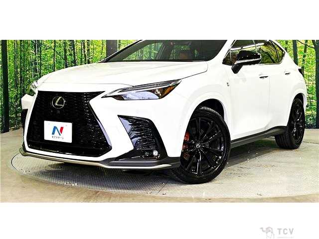 2025 Lexus NX