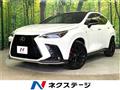 2025 Lexus NX