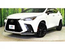 2025 Lexus NX