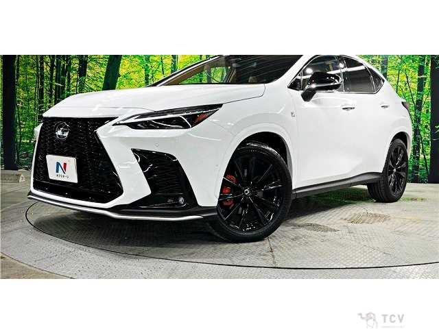 2025 Lexus NX