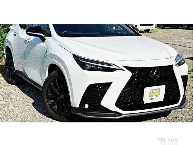 2025 Lexus NX