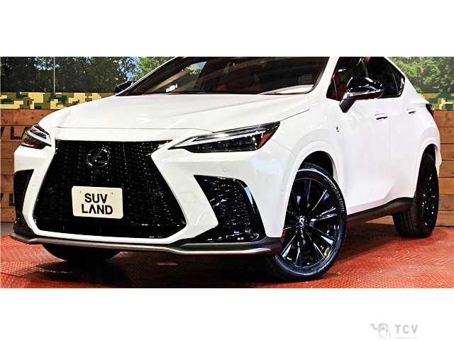 2025 Lexus NX