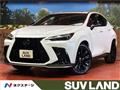 2025 Lexus NX