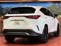2025 Lexus NX
