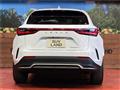 2025 Lexus NX