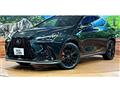 2025 Lexus NX