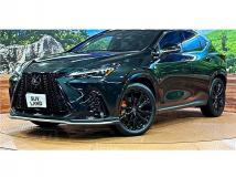 2025 Lexus NX