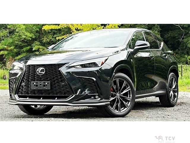 2025 Lexus NX