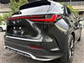 2025 Lexus NX