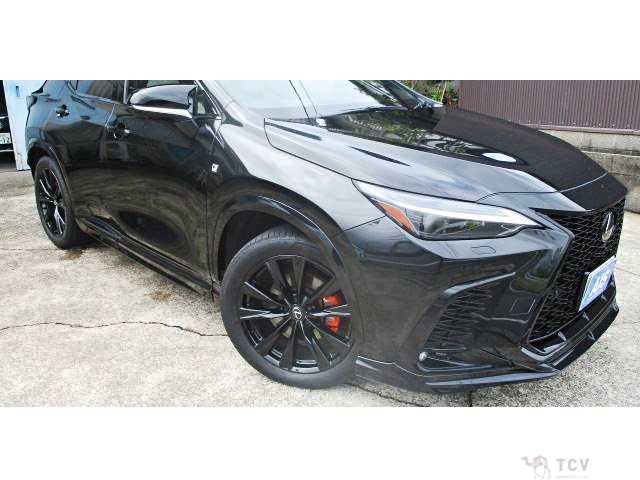 2025 Lexus NX