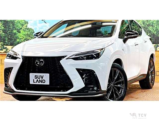 2025 Lexus NX